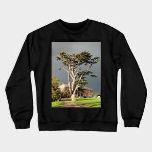 Mighty Crewneck Sweatshirt